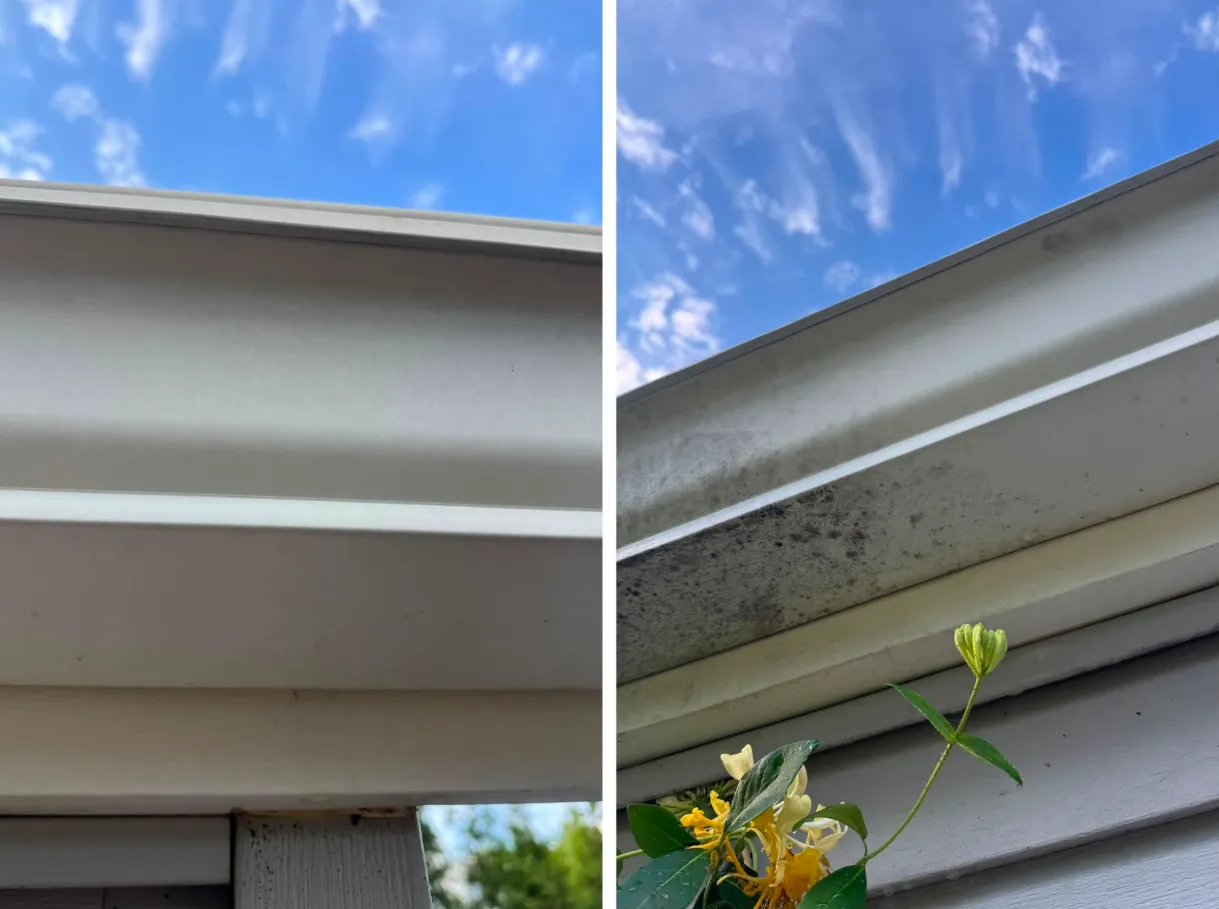 Before and after of a mildew-stained gutter and fascia, restored to clean white